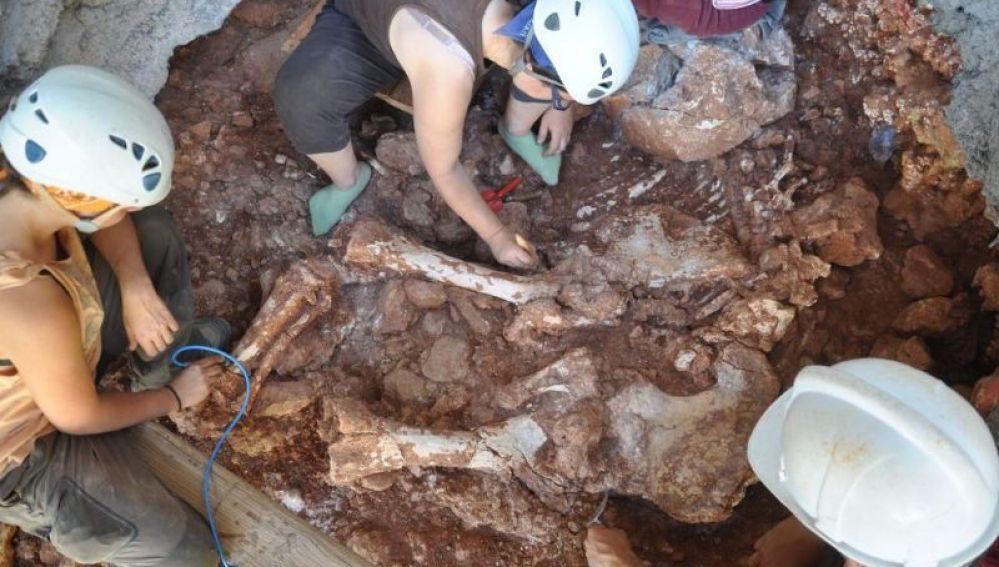Arqueólogos trabajando en los restos del elefante prehistórico