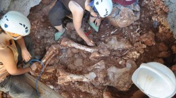 Arqueólogos trabajando en los restos del elefante prehistórico