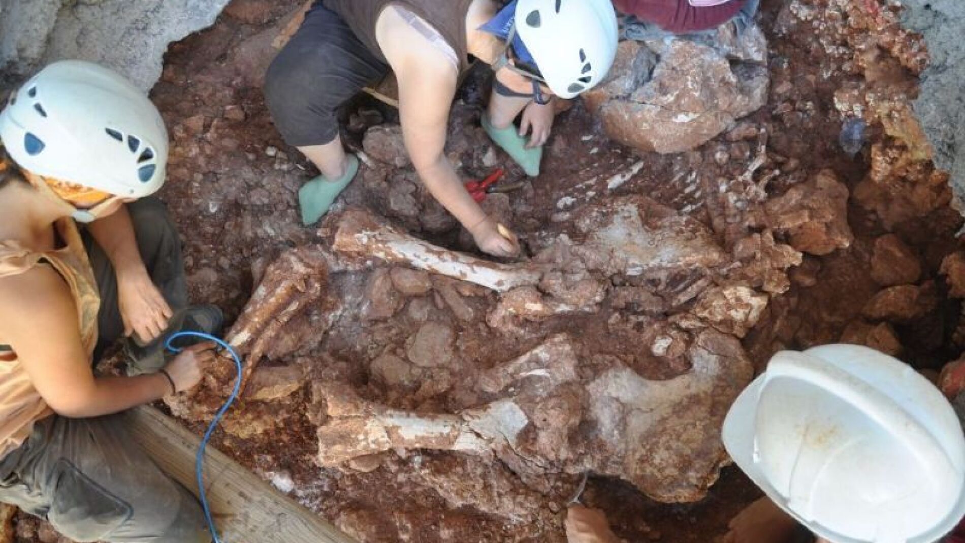 Arque&oacute;logos trabajando en los restos del elefante prehist&oacute;rico