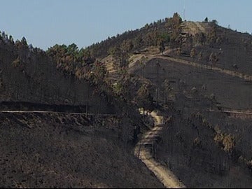 El incendio de Sierra de Gata se da por estabilizado