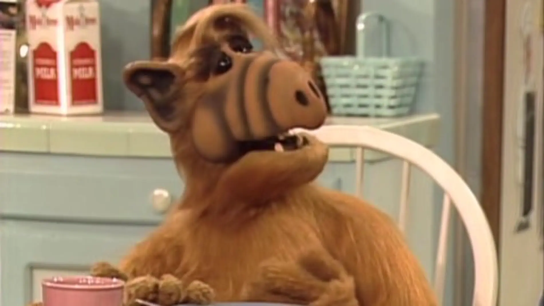 Alf prepara su salto a la gran pantalla