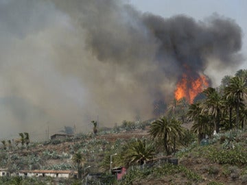 Incendio en La Gomera Incendio en La Gomera