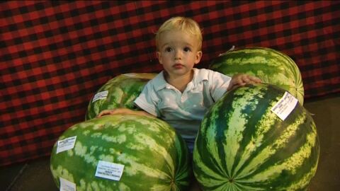 Alfam&eacute;n celebra el D&iacute;a de la Sand&iacute;a