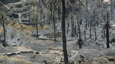 Incendio en La Gomera