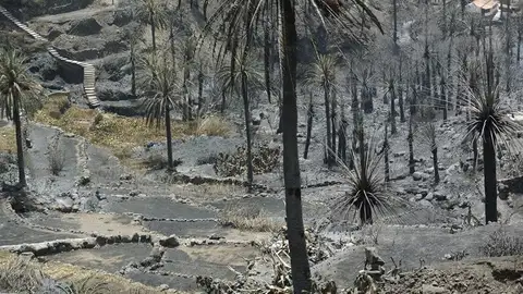 Incendio en La Gomera Incendio en La Gomera