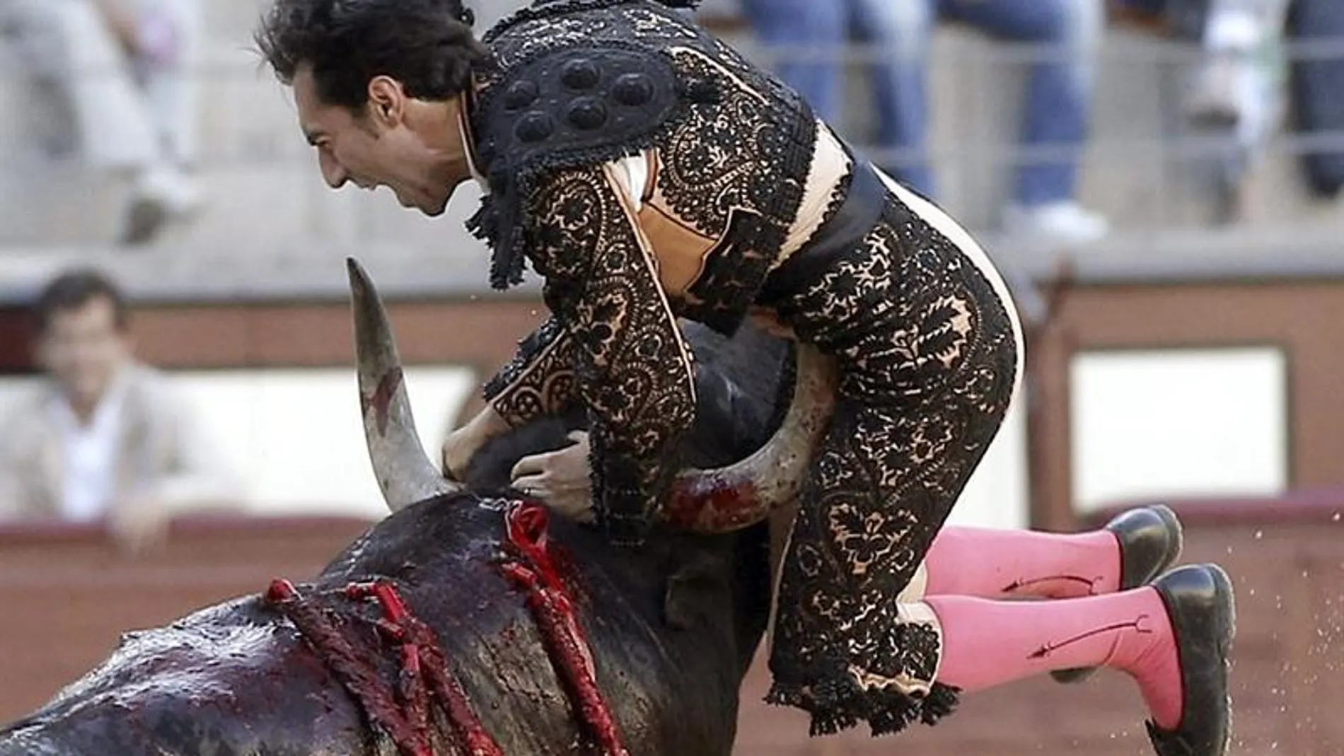 El diestro Fernando Cruz ha resultado herido El diestro Fernando Cruz ha resultado herido