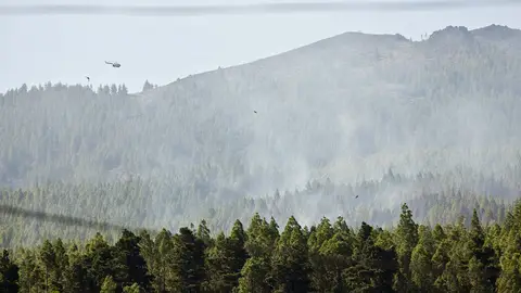 Incendio en Tenerife Incendio en Tenerife