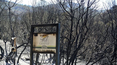 Incendio en La Gomera