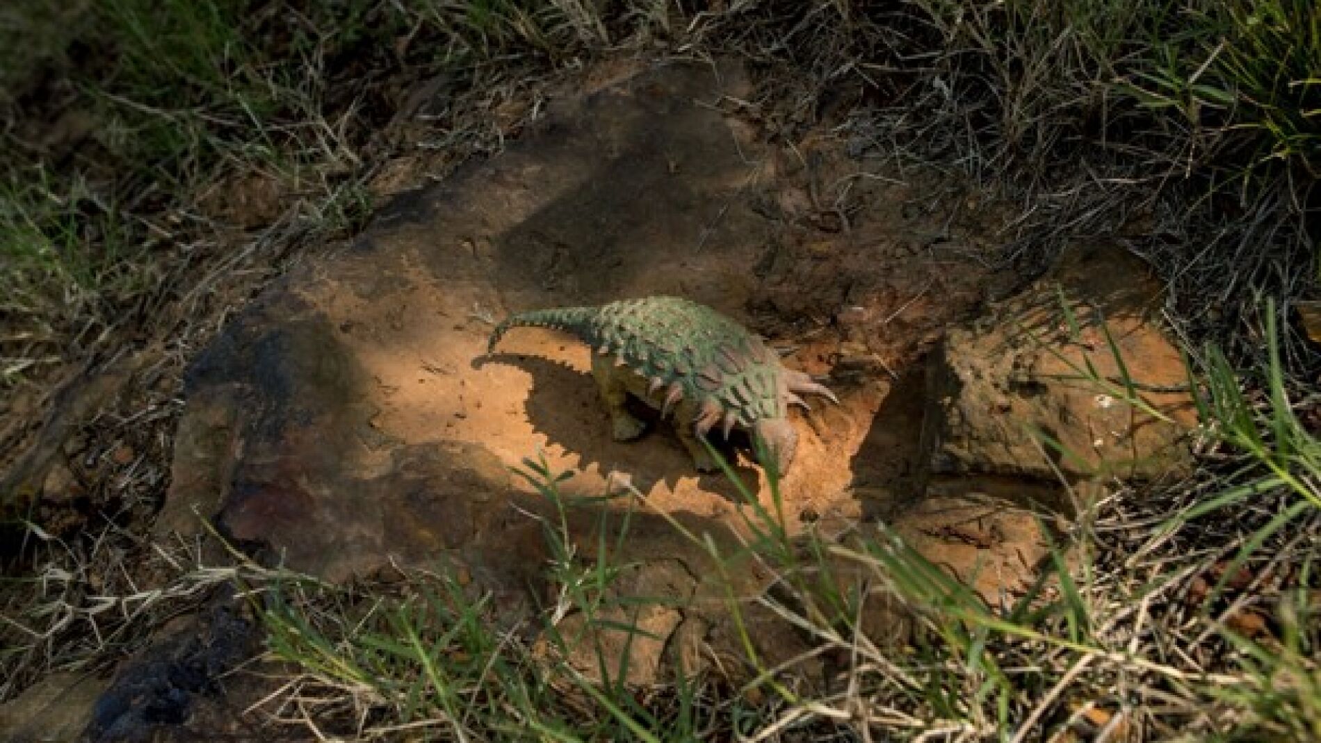 Descubren una posible huella de dinosaurio en el complejo de la NASA