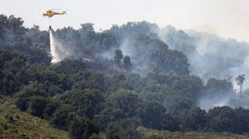 Incendio en Ávila