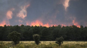 Incendio en Castrocontrigo
