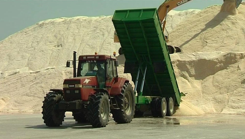 Producción de sal en el Delta del Ebro