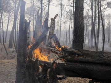 Resultado del incendio que está ardiendo en León