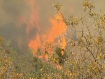 Incendios en el norte de California