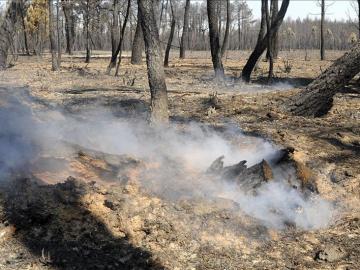 Bajan la alerta en Castrocontrigo por el fuego