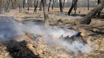 Bajan la alerta en Castrocontrigo por el fuego