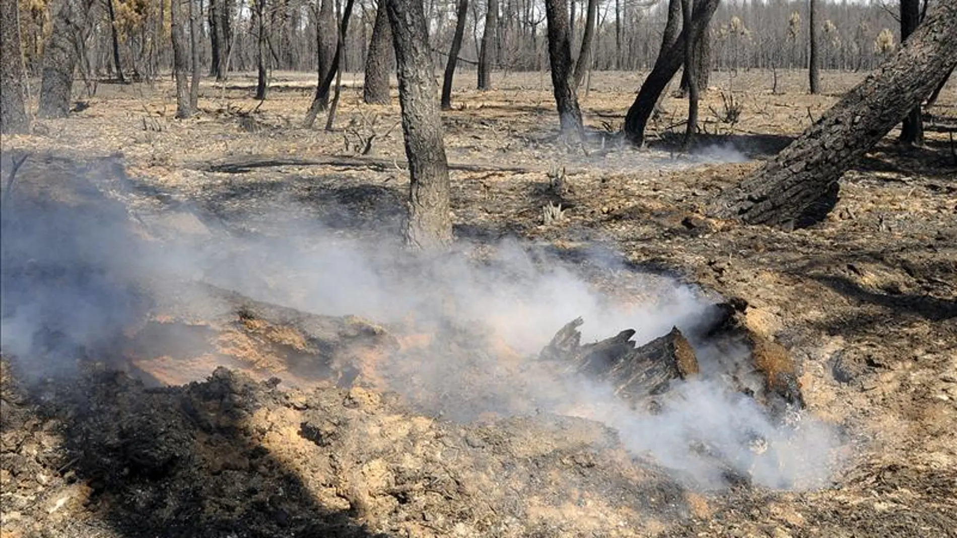 Bajan la alerta en Castrocontrigo por el fuego Bajan la alerta en Castrocontrigo por el fuego