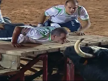 Los toros en el Carlet Los toros en el Carlet