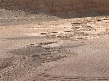 Los pantanos, secos Los pantanos, secos