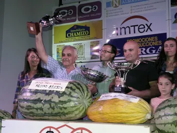 Un fruto de 85,650 kilos ha ganado el tradicional concurso de sandías y melones de Villanueva de la Serena Un fruto de 85,650 kilos ha ganado el tradicional concurso de sandías y melones de Villanueva de la Serena