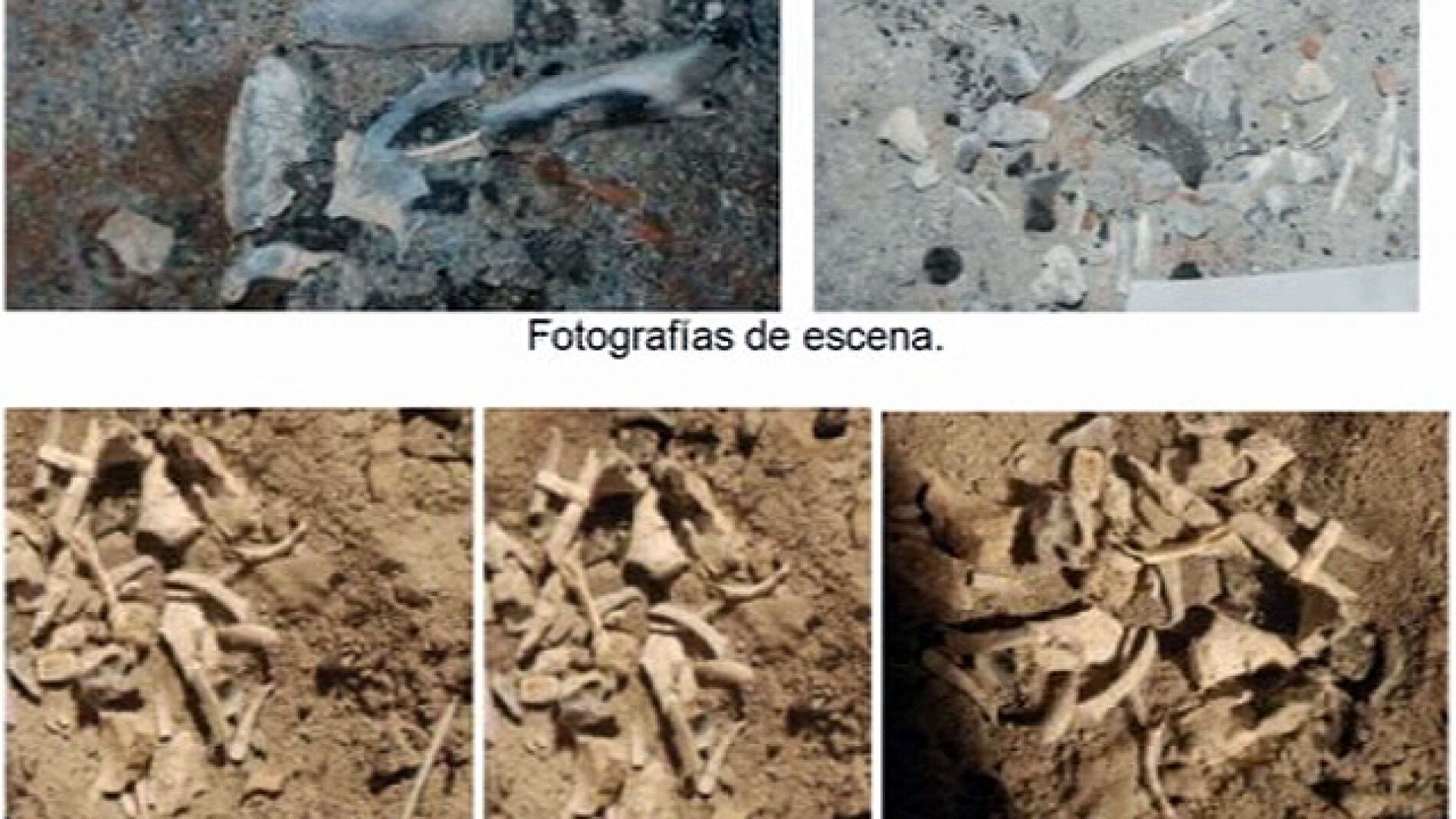 Desaparici&oacute;n de Ruth y Jos&eacute;: Fotograf&iacute;as de la escena