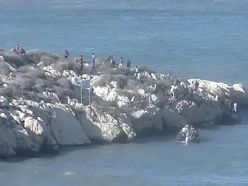 España acoge a los menores y a sus madres de Isla Tierra España acoge a los menores y a sus madres de Isla Tierra