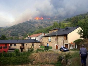 Llamas próximas a Lombillo de los Barrios, en León