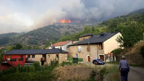 Llamas próximas a Lombillo de los Barrios, en León Llamas próximas a Lombillo de los Barrios, en León