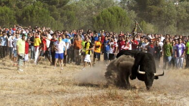 Tordesillas presenta un recurso ante el TC contra la prohibición de matar al Toro de la Vega