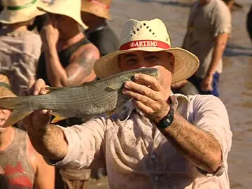 Fiestas del Charco Fiestas del Charco