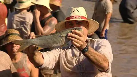 Fiestas del Charco Fiestas del Charco