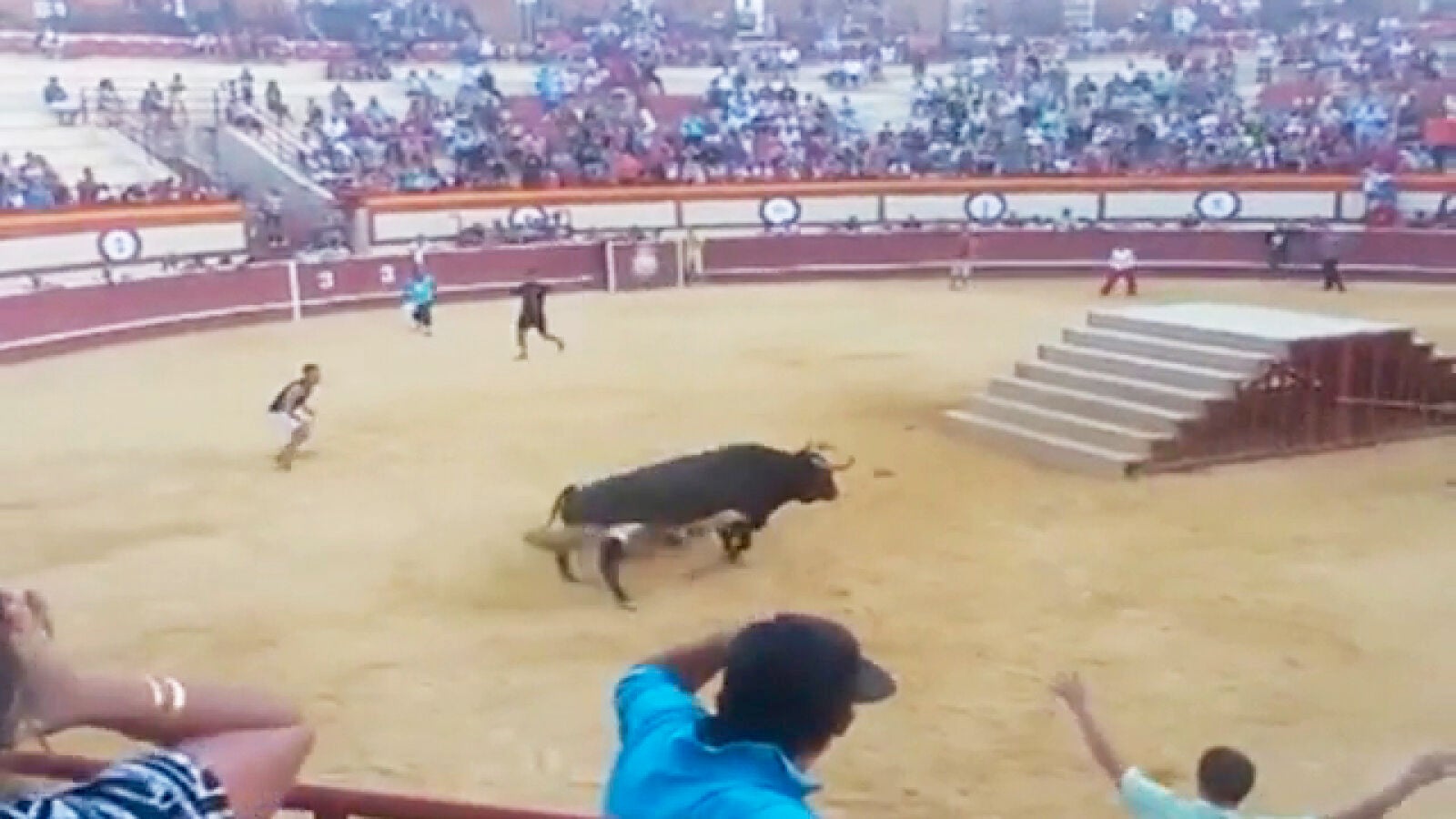Un toro lanza en una embestida a un hombre en las fiestas de Monóvar