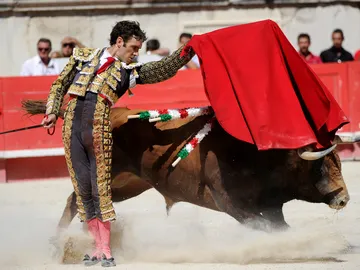 Histórica corrida de José Tomás Histórica corrida de José Tomás