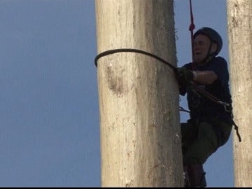 Escalando troncos