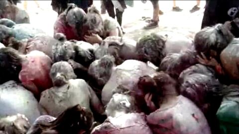 Gran novatada en Barcelona