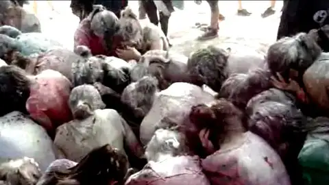 Gran novatada en Barcelona Gran novatada en Barcelona