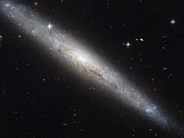 El Hubble retrata a una galaxia espiral cubierta de polvo El Hubble retrata a una galaxia espiral cubierta de polvo