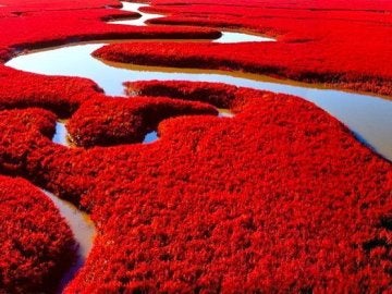 Impactante imagen de la Playa Roja