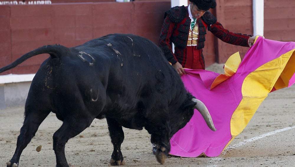Tarde sin trofeos en la despedida de 'El Fundi'