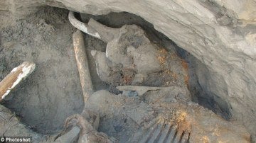 Un niño de once años descubre la carcasa intacta de un mamut fallecido hace 30.000 años