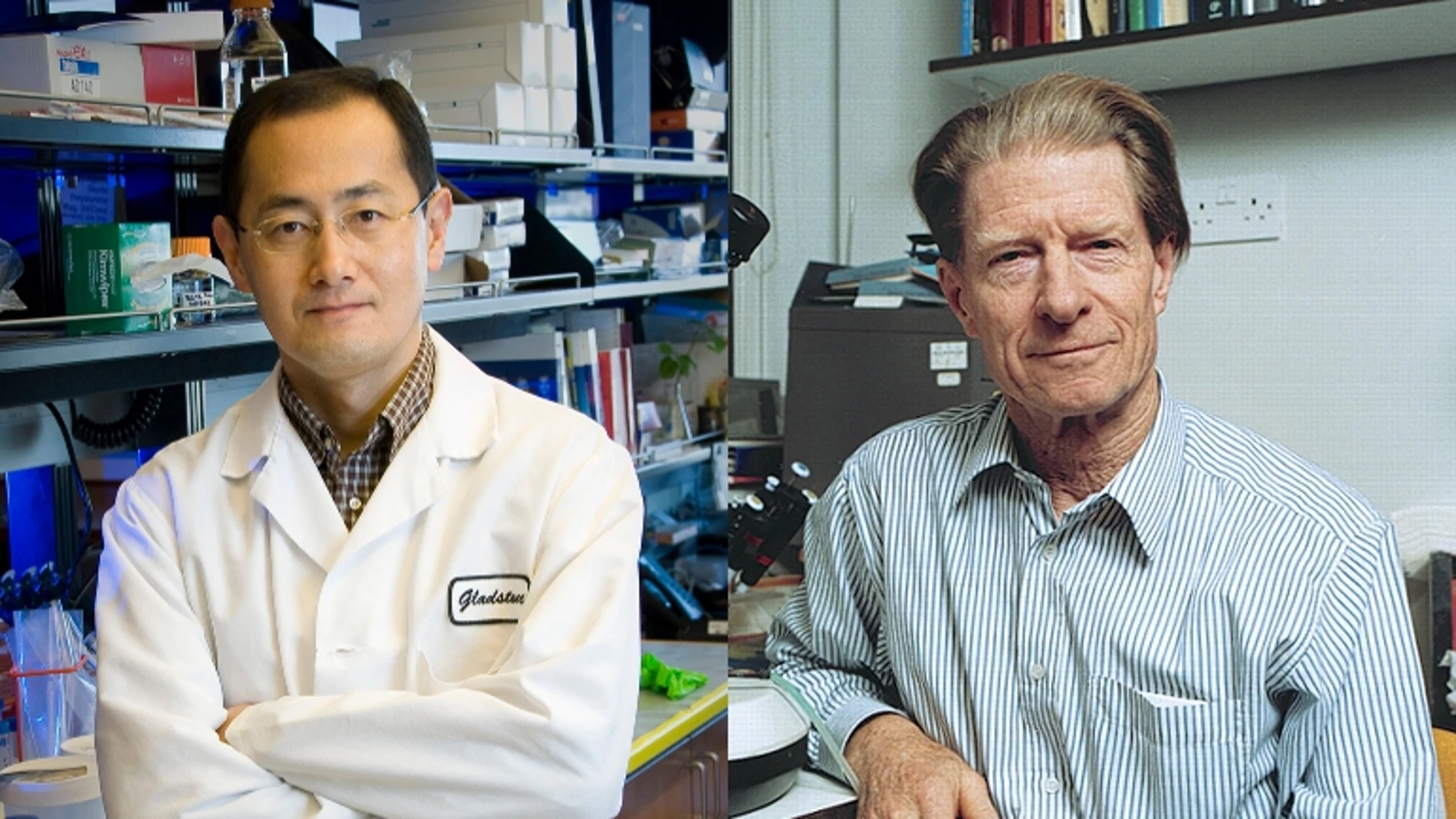Shinya Yamanaka y John Gurden Shinya Yamanaka y John Gurden