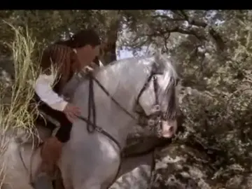 00078 00078