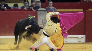 Padilla corta dos orejas en su vuelta a Zaragoza un año después de la cornada