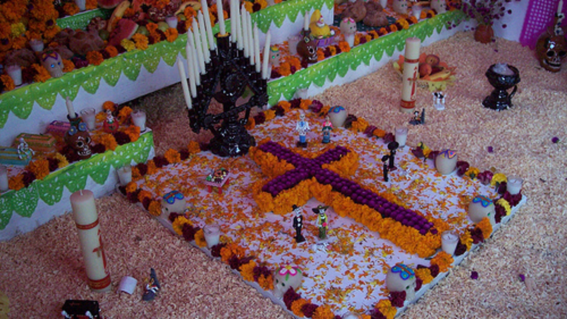 Los colores vivos son los que más priman Los colores vivos son los que más priman