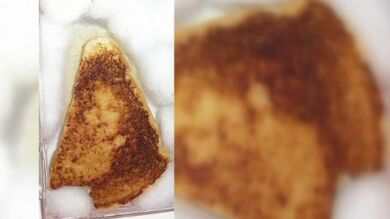 Una tostada con la efigie de la Virgen, a subasta en Internet