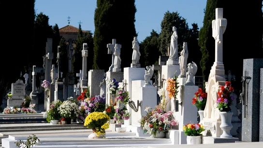 Cementerio con flores el Día de Todos los Santos Cementerio con flores el Día de Todos los Santos