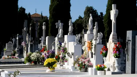 Cementerio con flores el Día de Todos los Santos Cementerio con flores el Día de Todos los Santos
