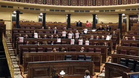 El Congreso de los Diputados el 14N El Congreso de los Diputados el 14N