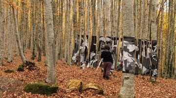 Un Guernica tridimensional entre hayas para evitar la tala