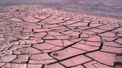 Descubren tres momias en el norte de Chile con más de 900 años de antigüedad